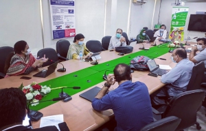 EPI PEI Synergy Working Group Meeting 20.5.2021