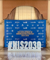 FDI leads National Immunization Strategy 2025-2030 workshop, shaping the future of immunization in Pakistan. 02.09.2024