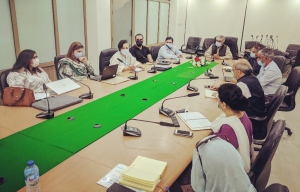 WIW Planning 2021 Meeting 14.4.2021